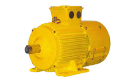 Crane Duty Motor(Slipring) (Low Voltage Motors)